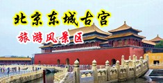 男人的屌猛烈抽插女人的逼日操中国北京-东城古宫旅游风景区